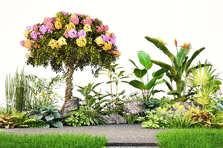 Plant Flowers and Plants Flower Mirror Group Modeling Bougainvillea Courtyard Landscape Sketches Green Plant Pile 3d model