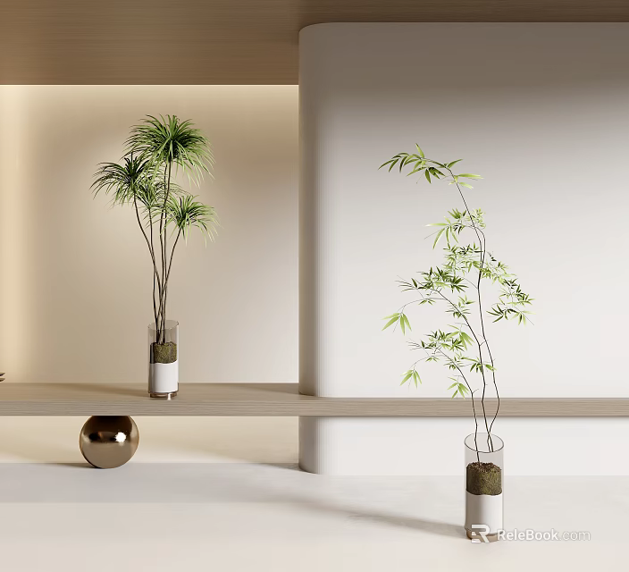 Transparent Vases With Dracaena And Bamboo In Minimalist Interior Shelf With Golden Decor 3d model 