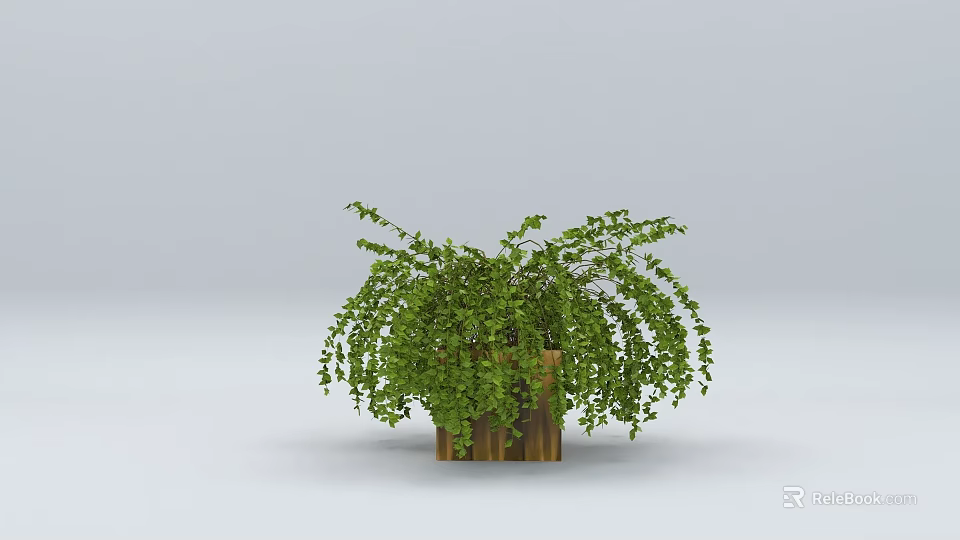 Lush Green Bonsai Plant with Cascading Leaves in Wooden Decorative Pot 3d model 