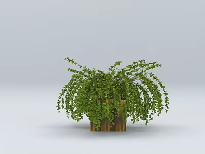 Lush Green Bonsai Plant with Cascading Leaves in Wooden Decorative Pot 3d model
