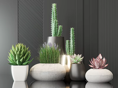 Modern Potted Plants Display With Cactus Succulents And Lavender In Stone Ceramic White Gray Pots 3d model
