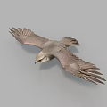 Gray Feathered Flying Animal Soaring With Spread Wings In Mid Air