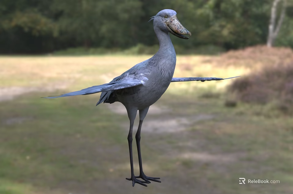 Shoebill Stork With Gray Feathers And Spread Wings In Natural Grassland Habitat With Green Trees 3d model 