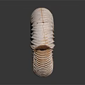 Conch Bone Snail Field Snail 3d model