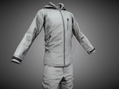 Gray Hooded Jacket and Pants Set with Zipper Front Cuffed Sleeves and Casual Outdoor Style 3d model