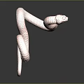 snake cobra venomous snake python reptile cold-blooded animal reptile 3d model