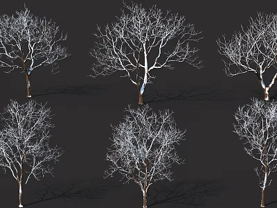 Snow Covered Winter Arbor Trees With Bare Branches And Brown Trunks 3d model