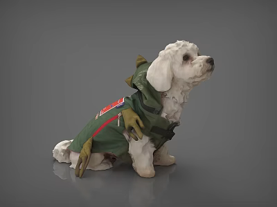 Cute White Puppy Wearing Green Dinosaur Costume Against Gray Background 3d model