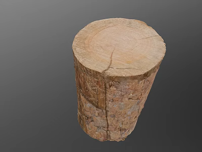 Natural Wooden Stump With Cross Section Tree Rings And Bark Texture 3d model