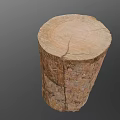 Natural Wooden Stump With Cross Section Tree Rings And Bark Texture