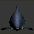 Blue Dolphin Streamlined Body With Smooth Surface Reflection Against Gray Gradient Background Lighting Effect