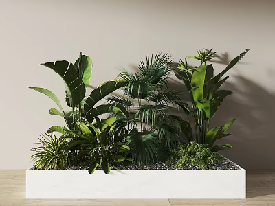 Lush Green Plants In White Planter Box Against Light Beige Wall And Wooden Floor 3d model