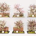 Various Styles Of Flowering Arbor Trees With Bamboo Fences Green Grass And Decorative Stones