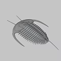 3D Rendered Trilobite With Green Red Body Long Antennae And Exoskeleton