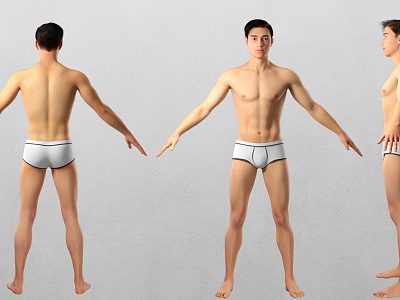 male human body model