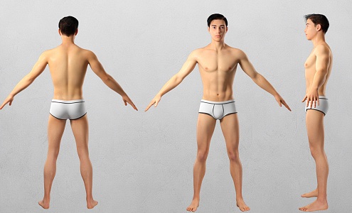 male human body 3d model