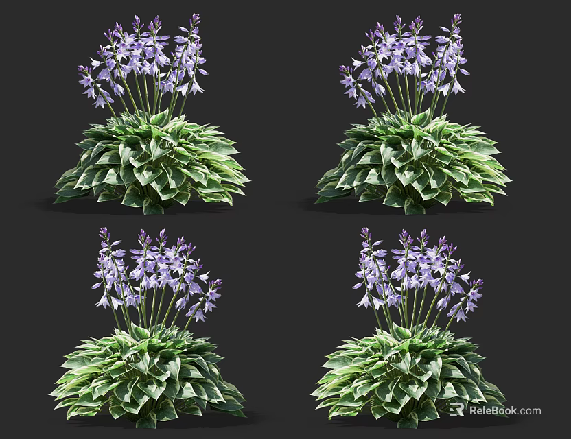 Vibrant Purple Flowers With Lush Green Leaves In Fresh Cluster Growth 3d model 