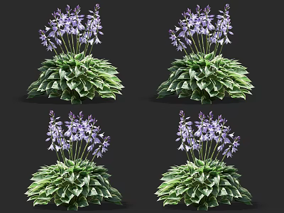 Vibrant Purple Flowers With Lush Green Leaves In Fresh Cluster Growth 3d model