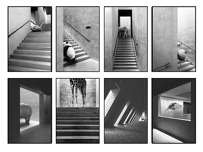 Black and White Wall Art Featuring Animal Themes Staircase Scenes And Corridor Views In Interiors 3d model