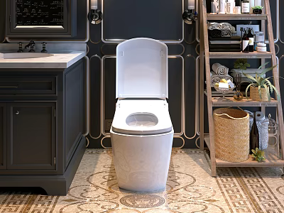 White Toilet in Bathroom with Dark Cabinet Sink Decorative Wall and Patterned Floor 3d model