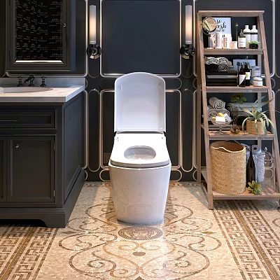 White Toilet in Bathroom with Dark Cabinet Sink Decorative Wall and Patterned Floor 3d model