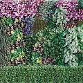 Vibrant Vertical Green Plant Wall Decor With Various Lush Foliage And Trimmed Base