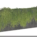 Lush Green Vines Growing On Gray Rectangular Wall With Dense Hanging Foliage 3d model