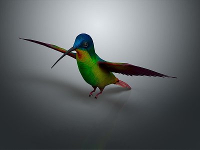 Modern woodpecker birds 3d model