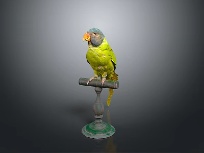 Vibrant Green Parrot Perched On Wooden Stand Against Gray Background 3d model