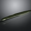 Green Eel With Long Slender Body On Smooth Gray Surface With Reflection