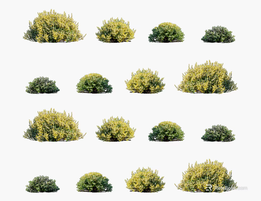 Various Green and Yellow Shrub Varieties with Dense Foliage for Garden Landscaping 3d model 