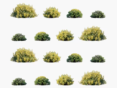Various Green and Yellow Shrub Varieties with Dense Foliage for Garden Landscaping 3d model