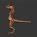 Game and Movie Character 3D Model with Fox Like Features Orange Fur and Claws