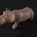 Cute Cartoon 3D Hippo Character Model With Stylized Design And Friendly Expression 3d model