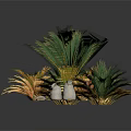 Green And Gold Palm Plants With Shells And White Pebbles Decorative Arrangement