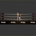 Professional Boxing Ring Sports Equipment With Boxers Ropes And Everlast Branding