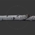 Natural Birch Wood Log Featuring White Bark And Knotty Textured Surface