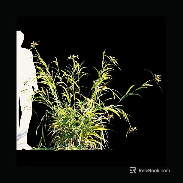Natural Fresh Green Plants With Long Leaves And Small Flowers In Garden 3d model 
