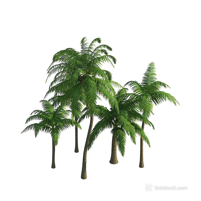 Lush Green Palm Trees with Feathery Fronds and Tall Trunks in Natural Tropical Scene 3d model 