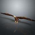 Modern Eagle Eagle Sculpture 3d model