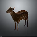 Brown Deer With White Stripes Standing Isolated On Gray Background 3d model