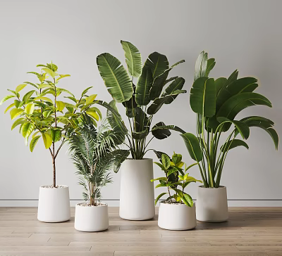 Modern potted plants 3d model Modern potted plants 3d model