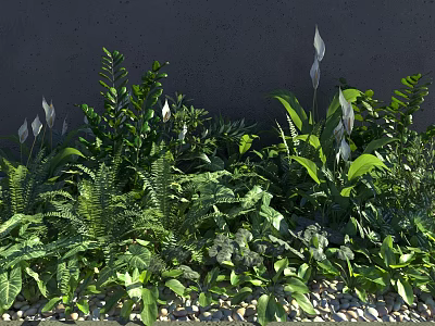 Lush Green Shrubs With Ferns And Tropical Leaves Against Dark Wall And Pebbles 3d model