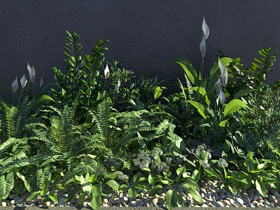 shrub combination flower plant combination landscape shrub flower plant seed landscape green plant tropical shrub combination 3d model