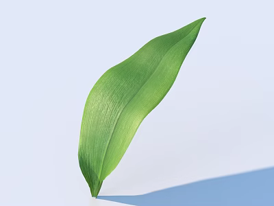 Fresh Green Leaf With Natural Texture On Light Blue Background 3d model