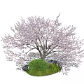 Beautiful Arbor With Pink Blossoms Surrounded By Green Shrubs And Stones