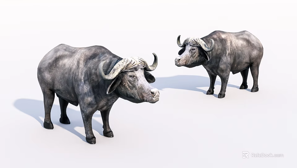 Two Reptile Crocodiles With Scaly Skin Standing On White Background Surface 3d model 