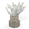 Beautiful White Cherry Blossoms Arranged in Ribbed Transparent Vase for Home Decoration