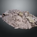 Irregular Shaped Rock Sample With Soil Moss And Rough Surface In Natural Environment 3d model