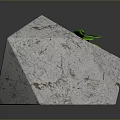 Small Green Plant In Hexagonal White Marble Textured Planter With Soil